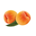 Chabacanos