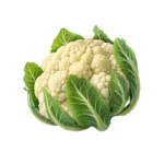 Coliflor