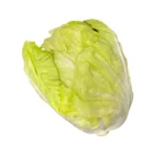 Lechugas