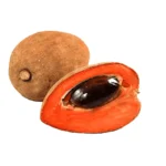 Mamey